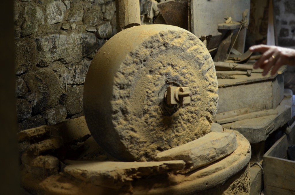 Photo historique (DSC_0036.jpg)