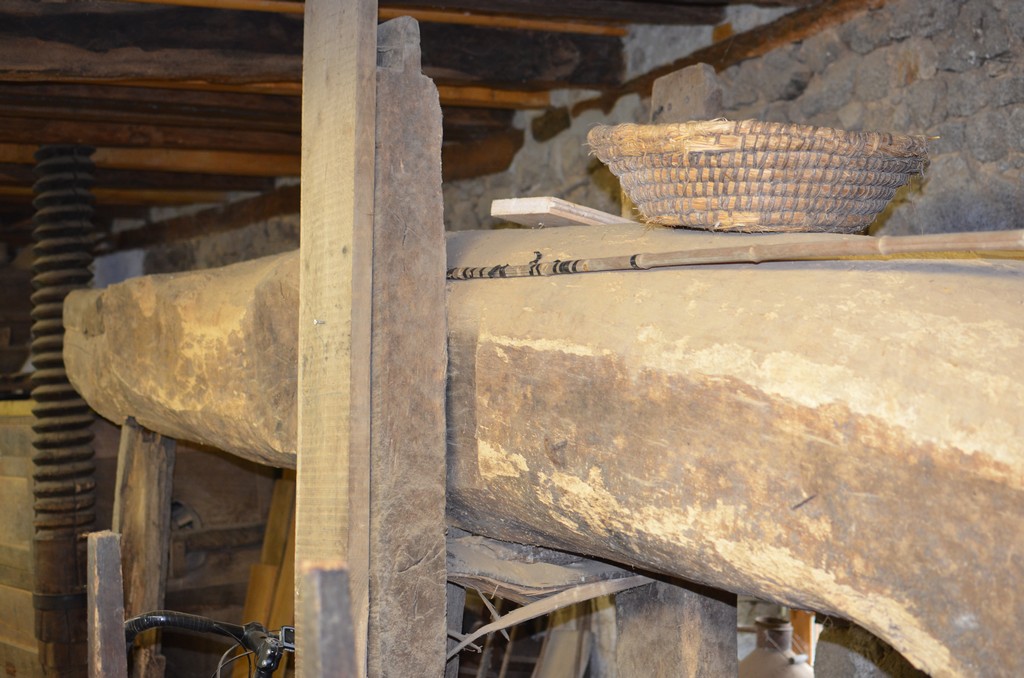 Photo historique (DSC_0046.jpg)