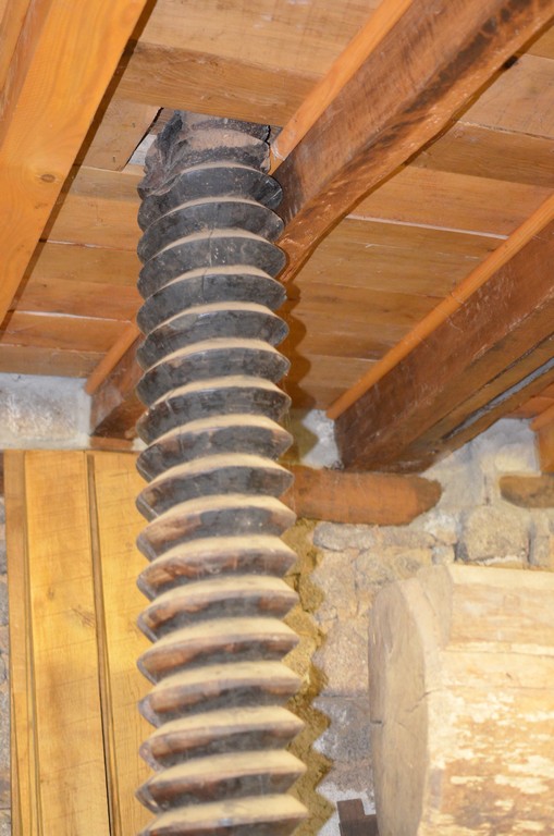 Photo historique (DSC_0052.jpg)