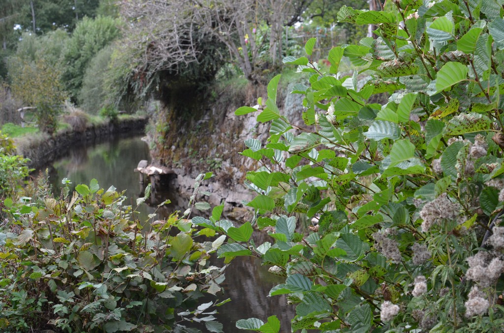 Photo historique (DSC_0077.jpg)