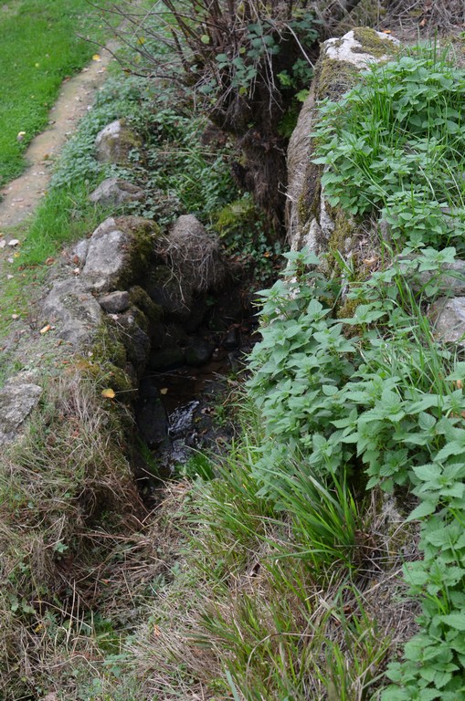 Photo historique (DSC_0081.jpg)