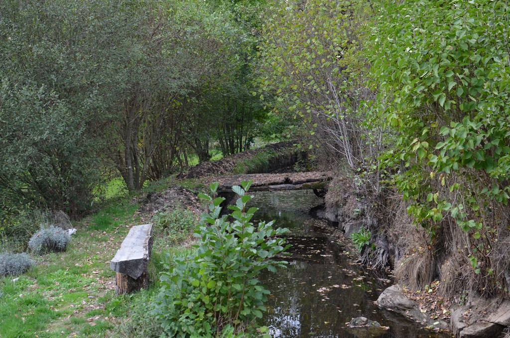 Photo historique (DSC_0082.jpg)