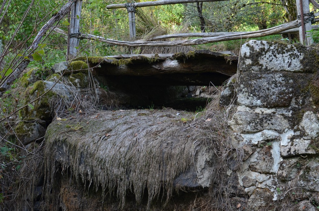 Photo historique (DSC_0090.jpg)