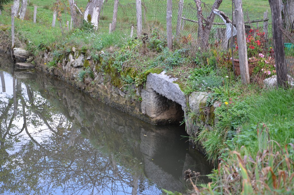 Photo historique (DSC_0113.jpg)