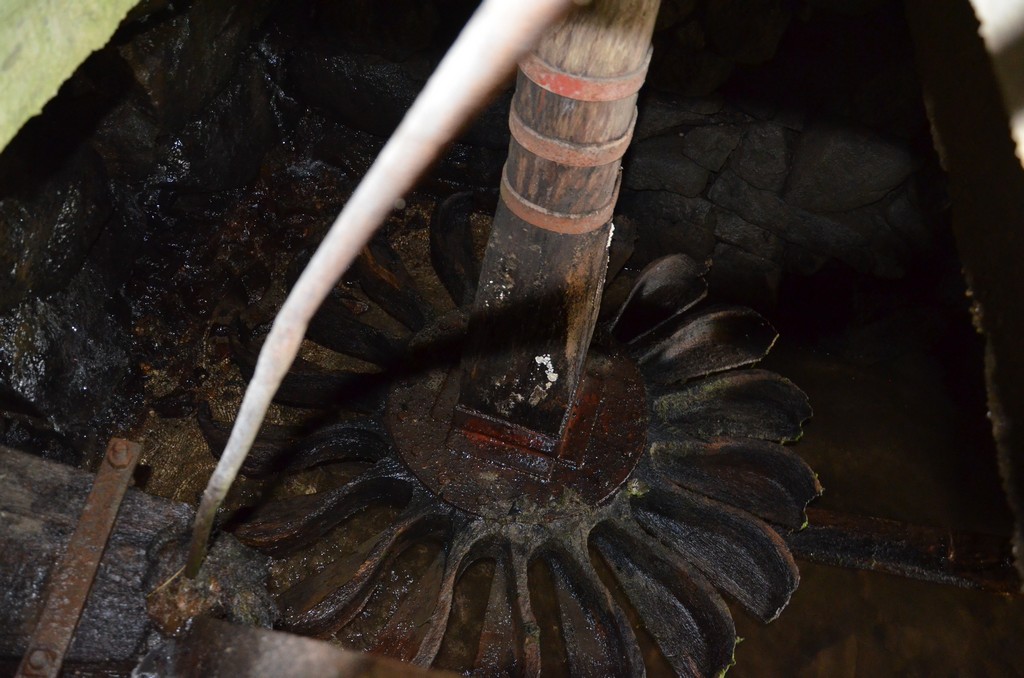 Photo historique (DSC_0126.jpg)