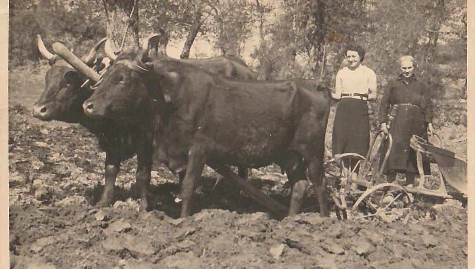 Bernadette Labourant