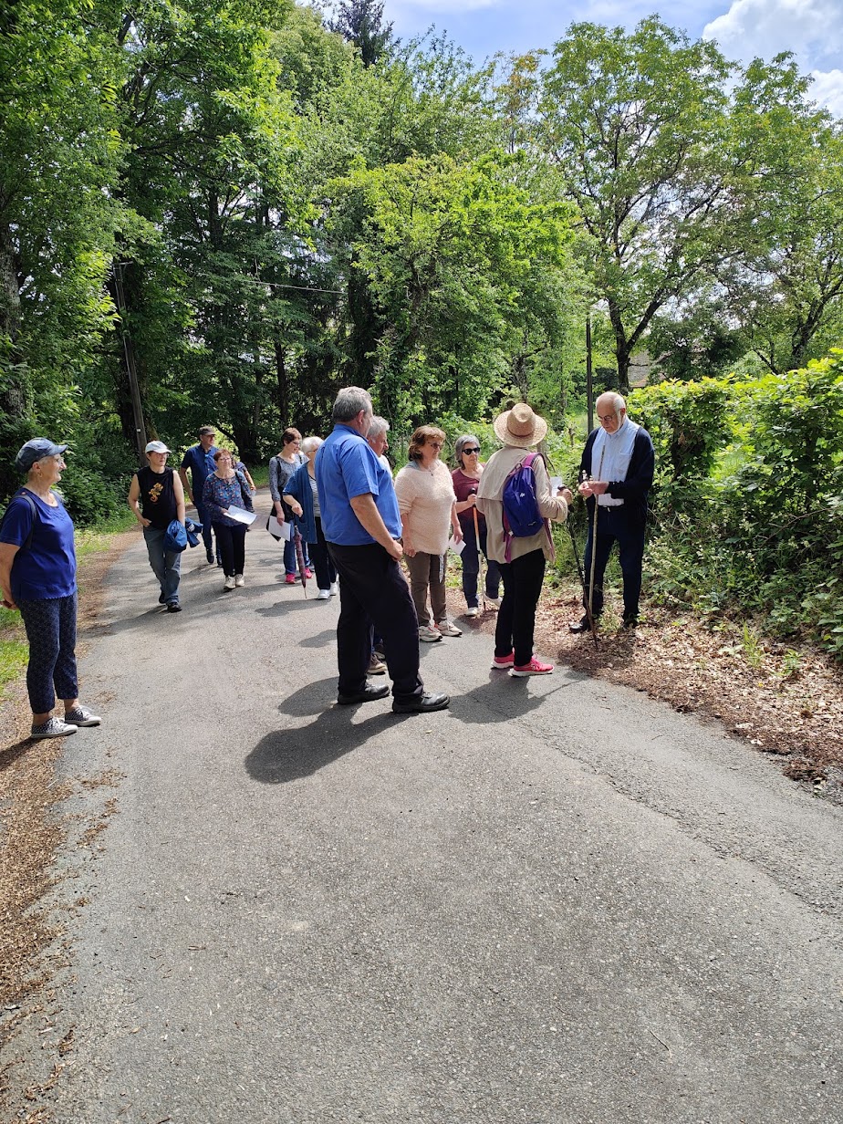 Sortie botanique principale