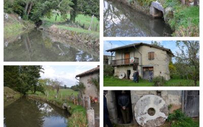 Visite du Moulin du Prat