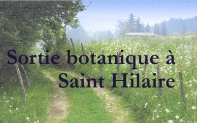 Sortie botanique du 3 juin 2023